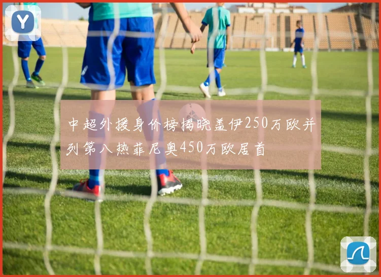 中超外援身价榜揭晓盖伊250万欧并列第八热菲尼奥450万欧居首